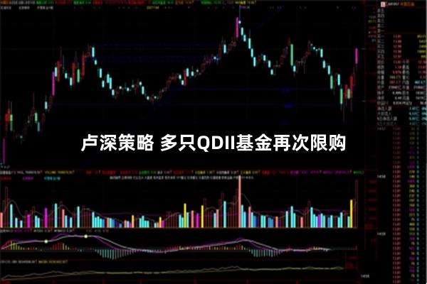 卢深策略 多只QDII基金再次限购